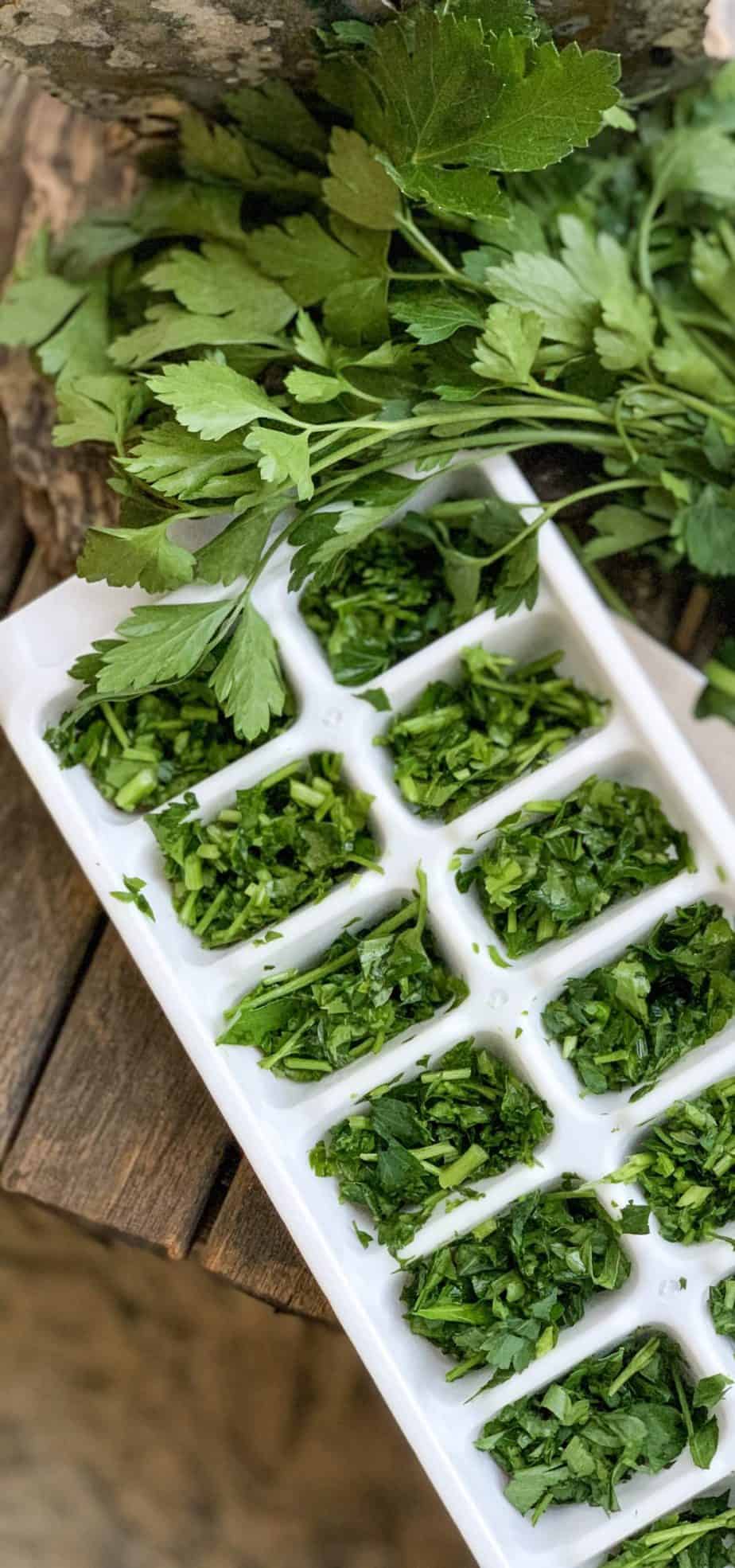 parsley punch shown next to herbs in a ice cube tray.
