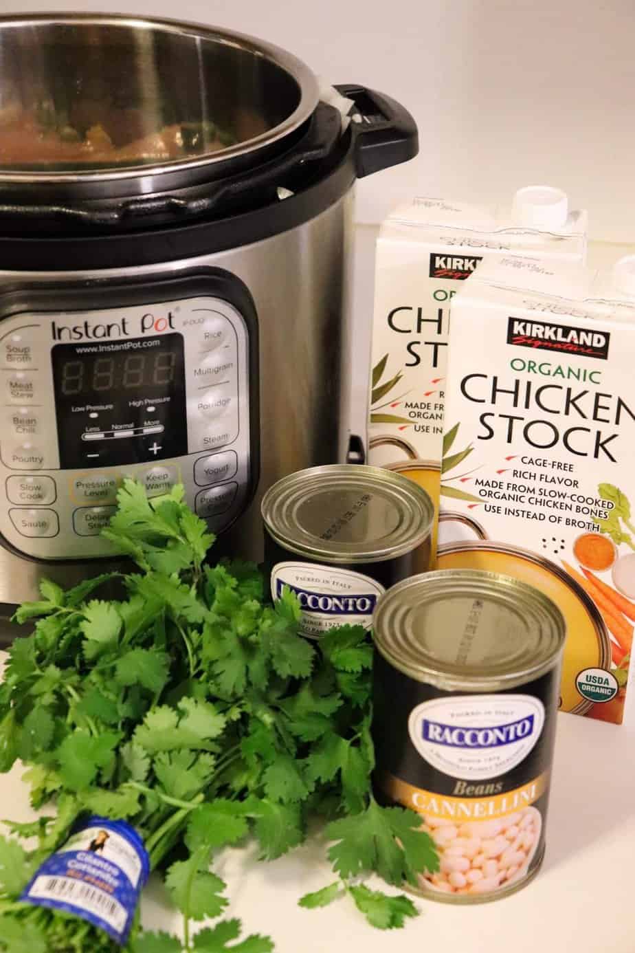 ingredients for soup shown in front of instant pot.