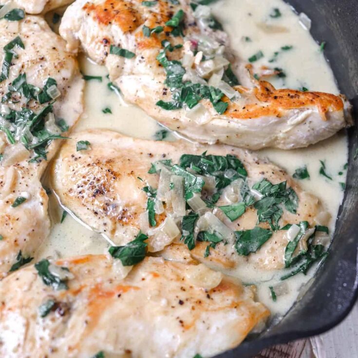 chicken shallot sauce featured