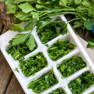 how to freeze fresh herbs featured