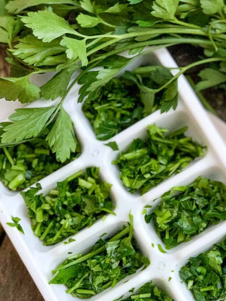 how to freeze fresh herbs featured
