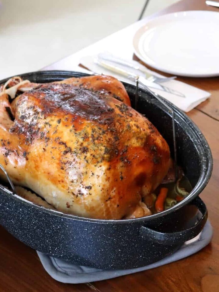thanksgiving turkey featured