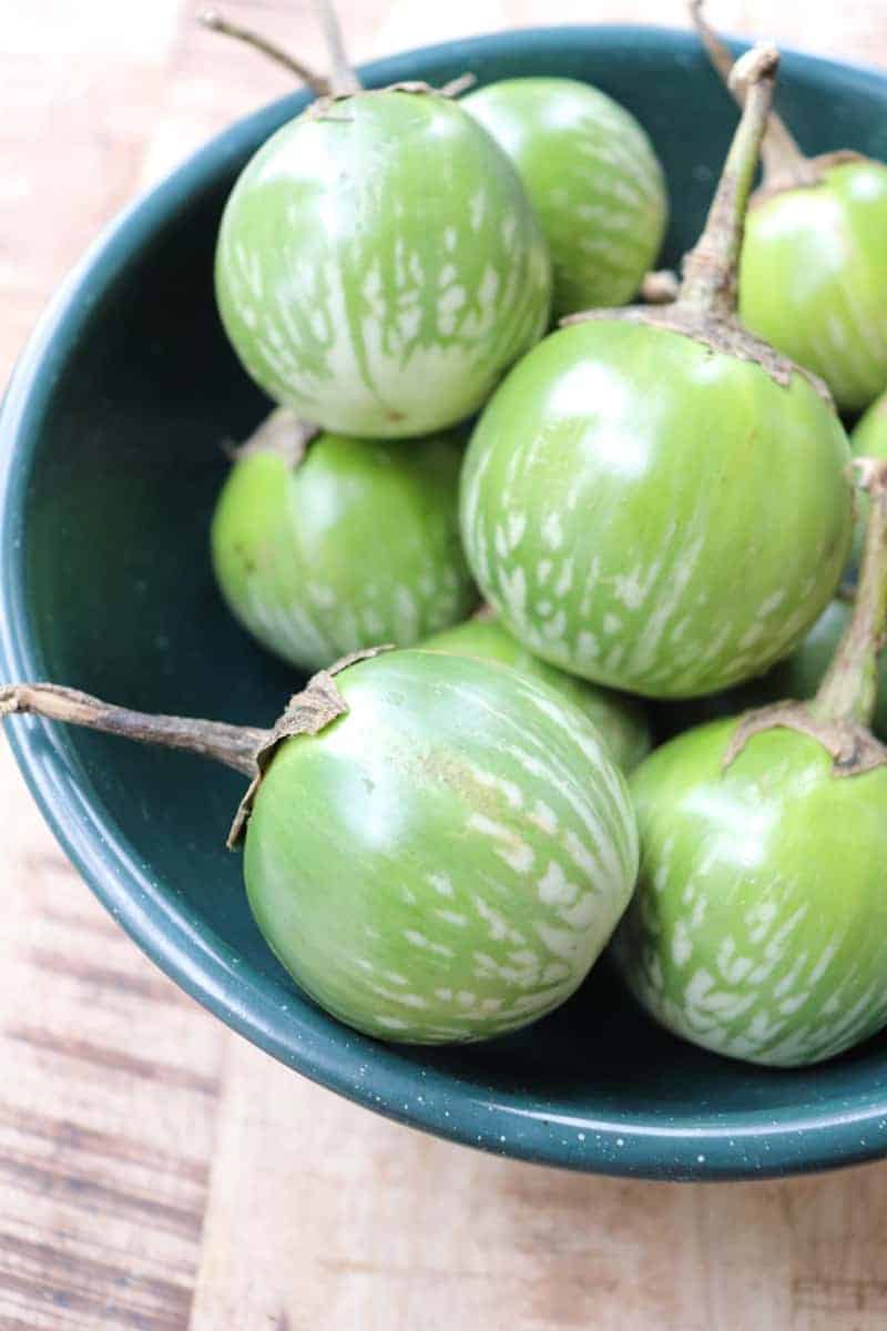 bowl whole thai eggplants.