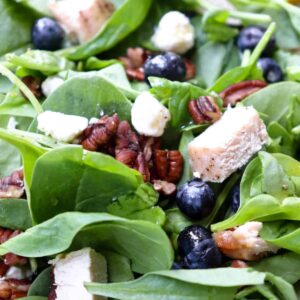 blueberry spinach salad featured