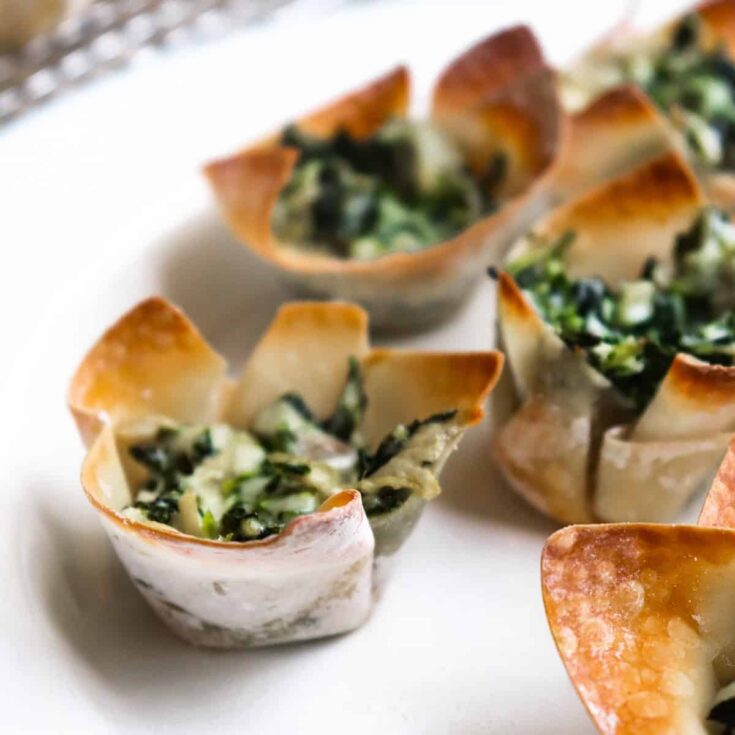 Wonton Wrapper Spinach Dip Bites