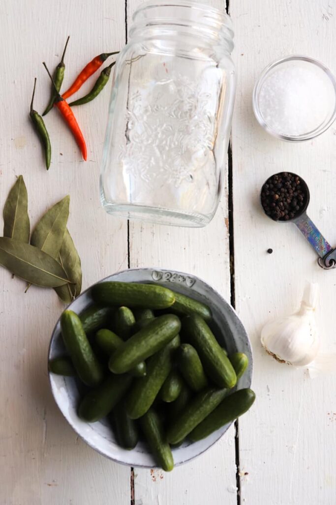 ingredients for fermented pickles on a white background
