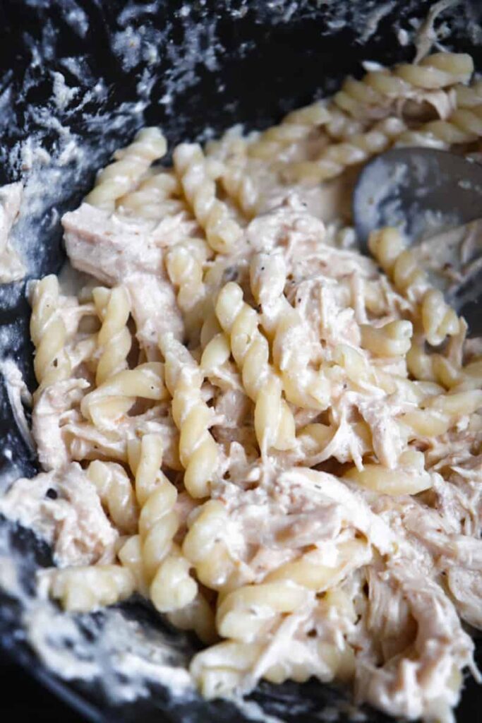 up close shot of creamy chicken pasta