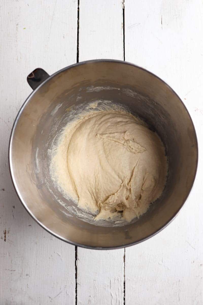 resting dough in bowl of stand mixer