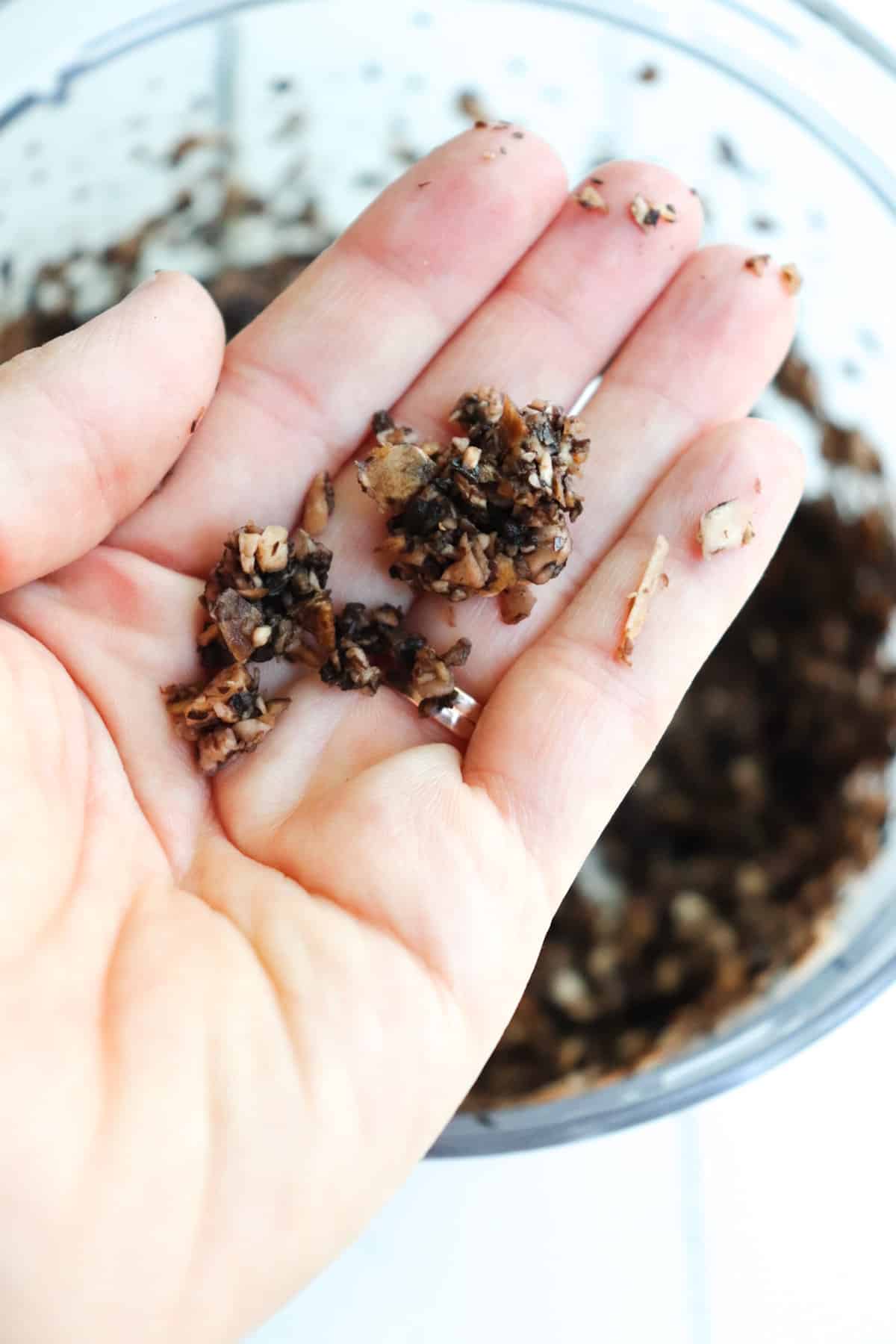 hand holding ground mushrooms to show size.