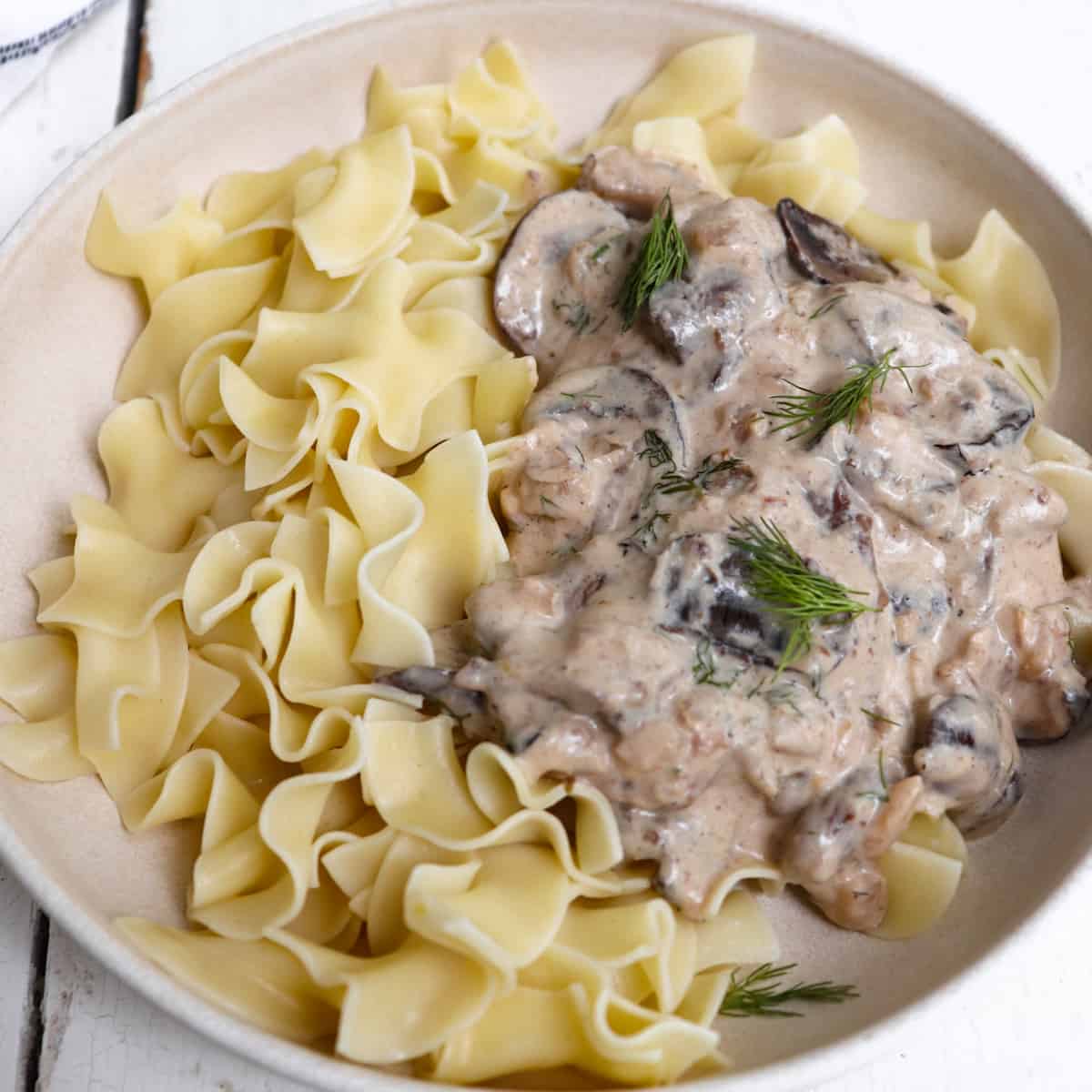 Venison stroganoff best sale instant pot