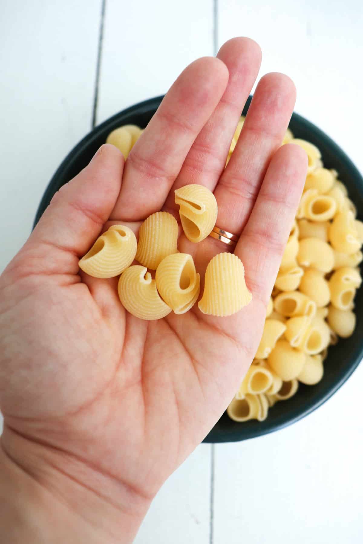 hand holding lumaconi pasta.