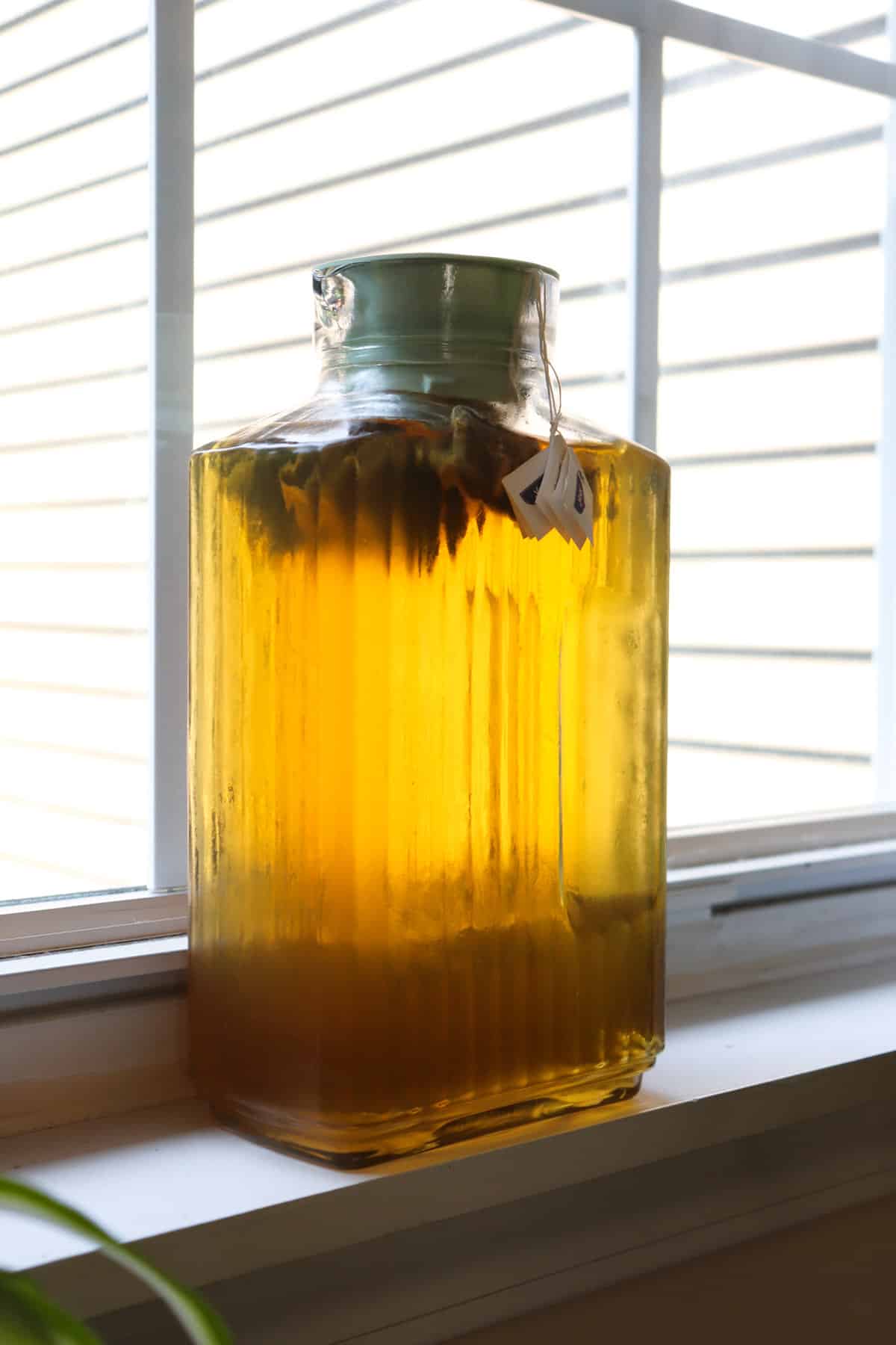 lid on glass jug of sun tea in window