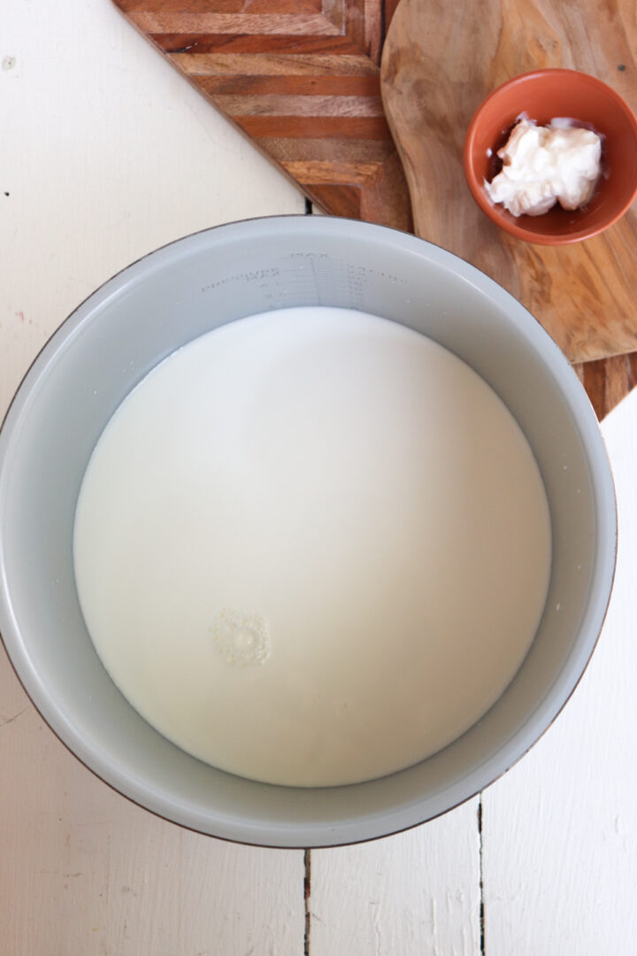 Ninja Foodi Yogurt (Homemade Plain Yogurt) Season & Thyme