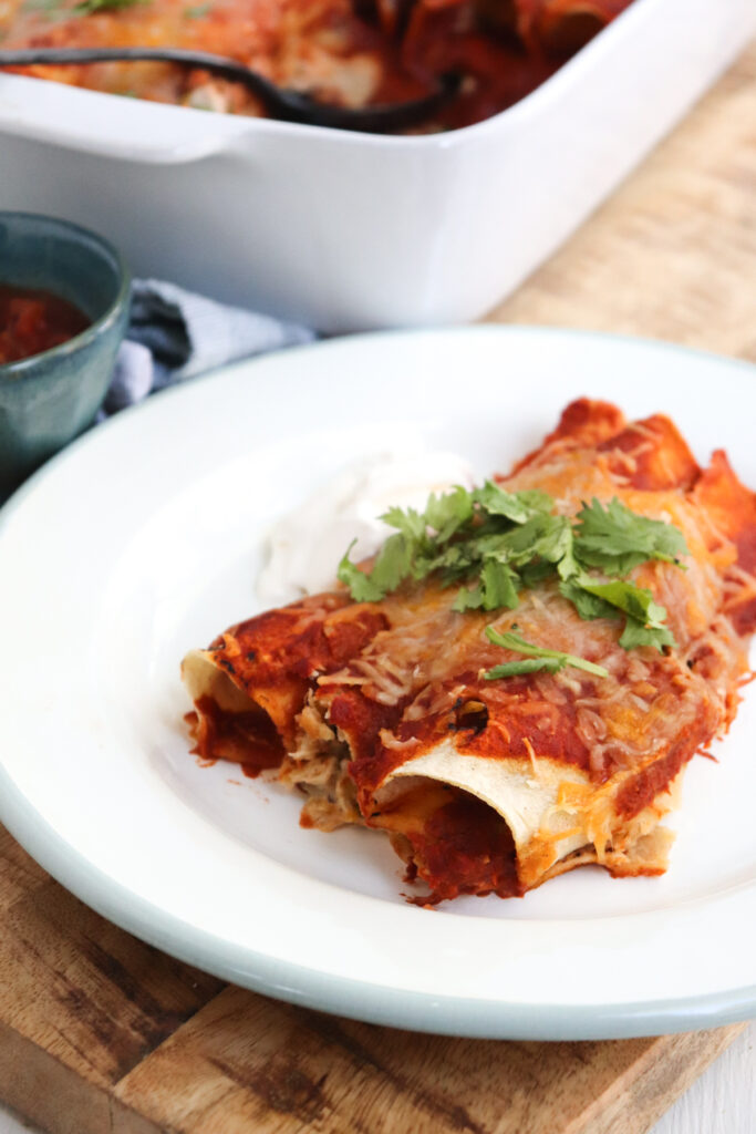 Shredded Chicken Enchiladas with Red Sauce - Season & Thyme