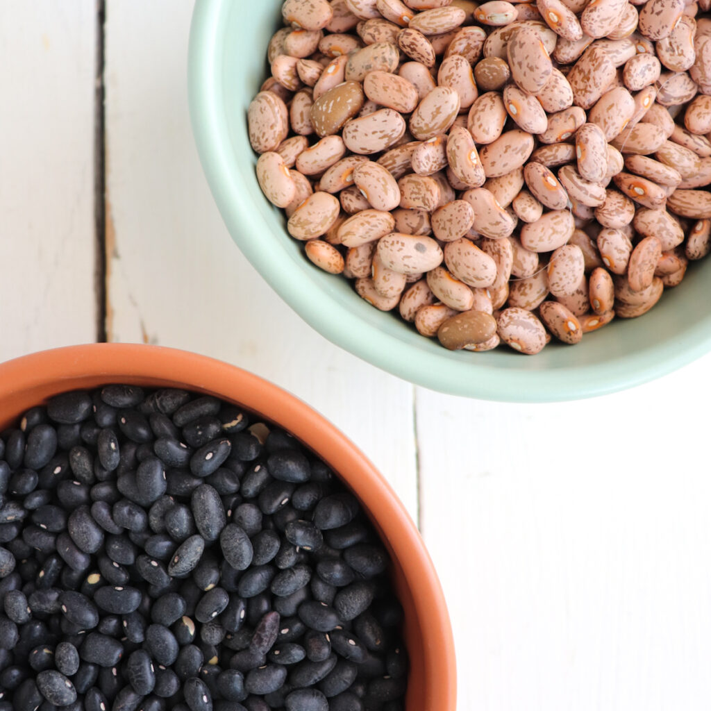 Black Beans vs. Pinto Beans Season & Thyme