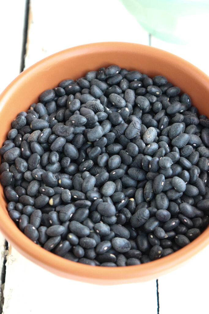 dry black beans in a orange bowl.