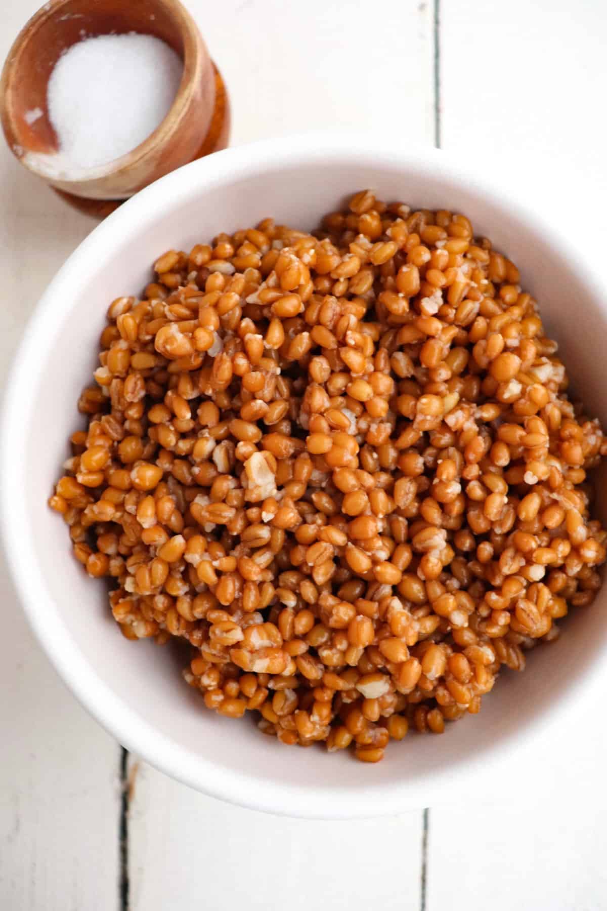 white bowl filled with cooked wheat berries.