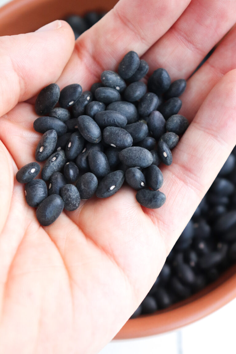 Black Beans vs. Pinto Beans Season & Thyme