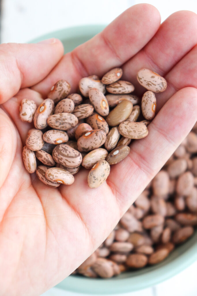 handful of pinto beans.