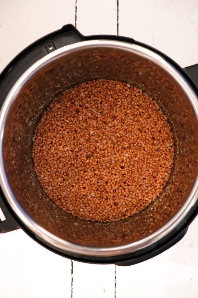 Instant Pot Wheat Berries Season & Thyme