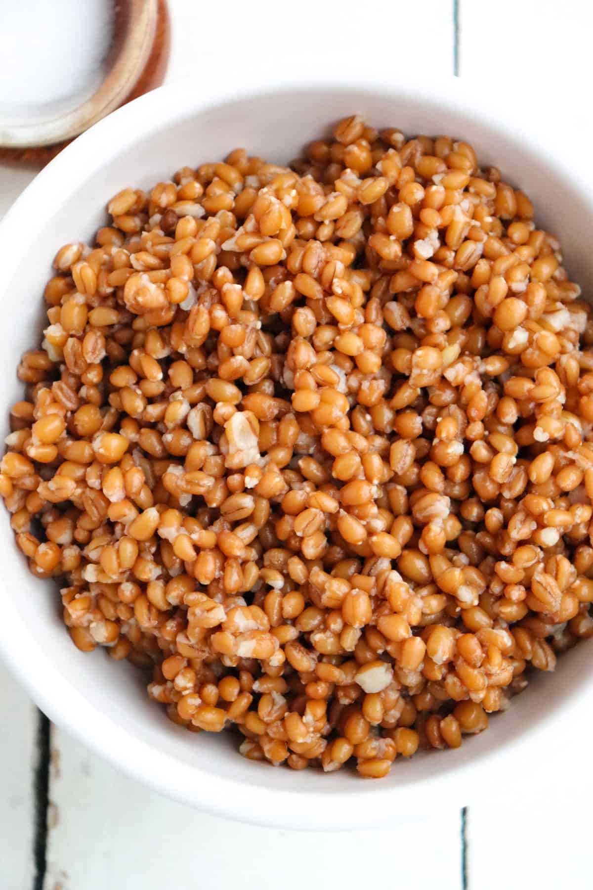 wheat berries up close in a white bowl.