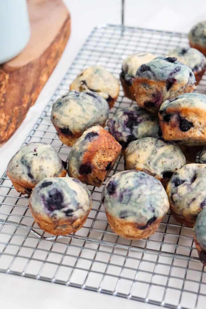 Homemade Mini Blueberry Muffins Season & Thyme