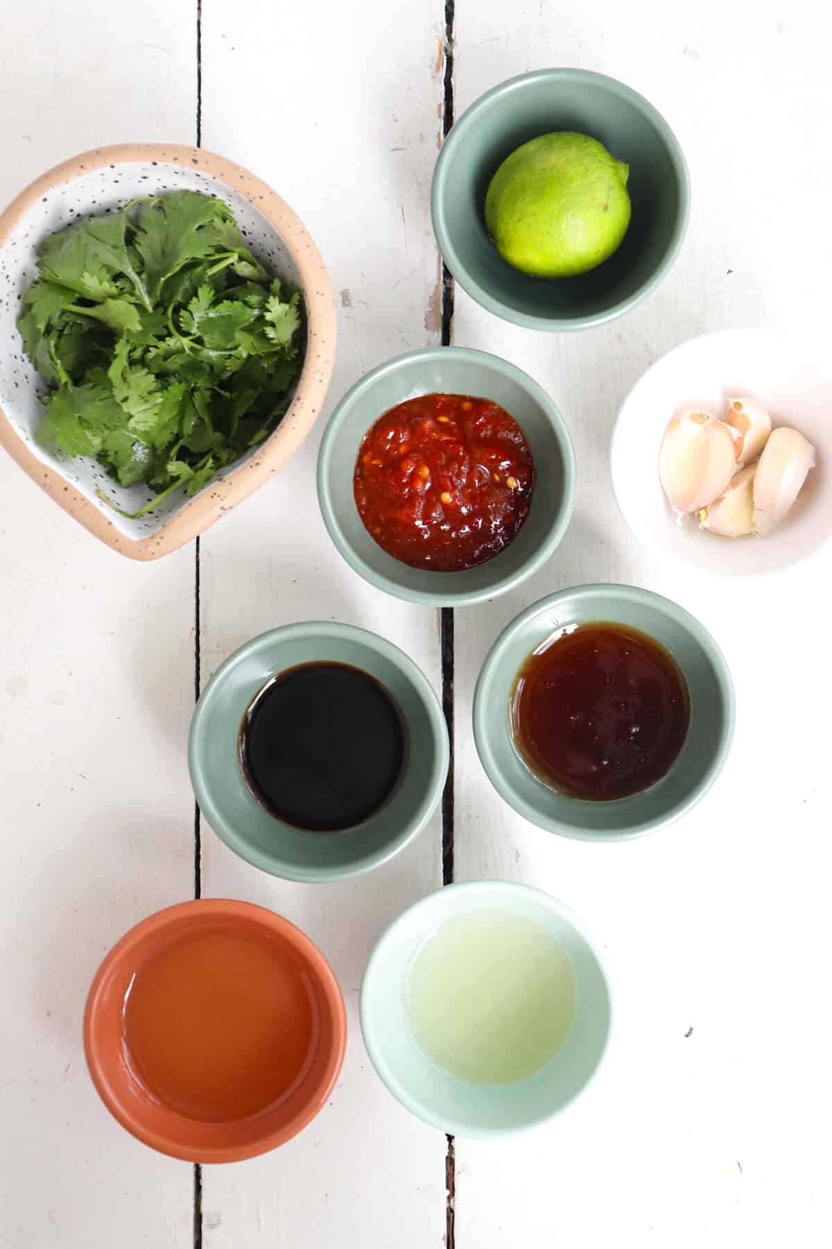 ingredients for asian chicken marinade on a white background.