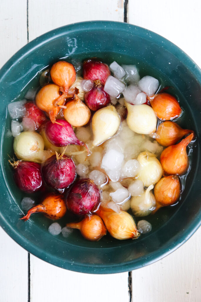 pearl onions in an ice bath.