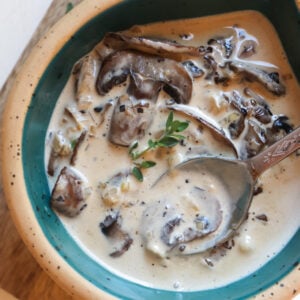 featured image for mushroom cream sauce.
