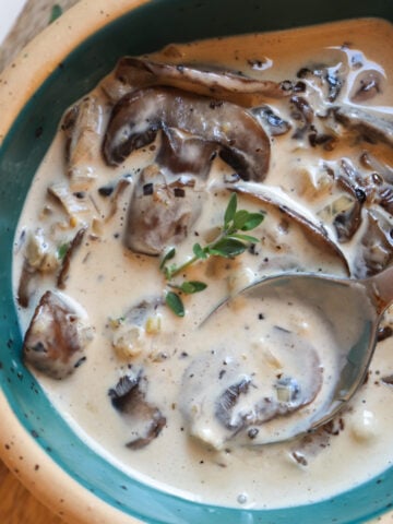 featured image for mushroom cream sauce.